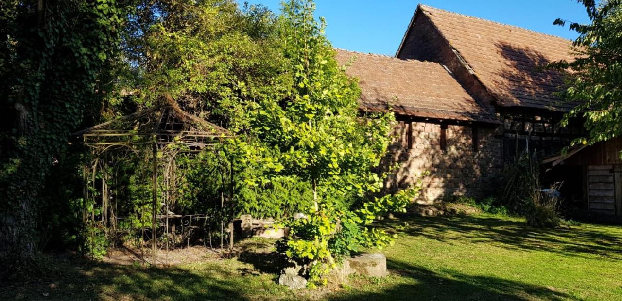 Gite A La Petite Fontaine-Plain Pied-Maison Alsacienne Renovee Avec Passion-4 Pers-4Nuitees Minimum Langensoultzbach エクステリア 写真