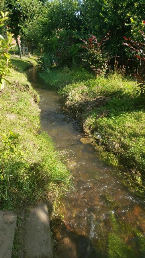 Gite A La Petite Fontaine-Plain Pied-Maison Alsacienne Renovee Avec Passion-4 Pers-4Nuitees Minimum Langensoultzbach エクステリア 写真