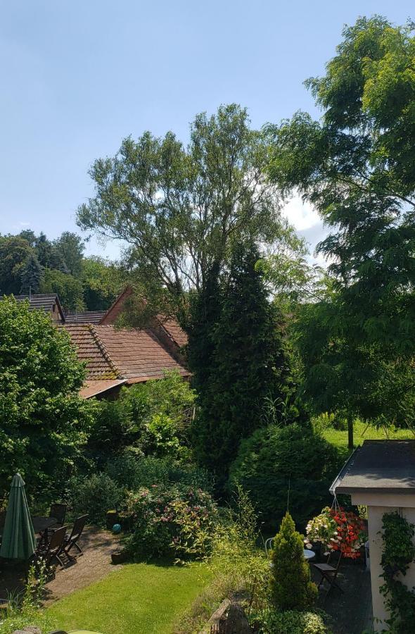 Gite A La Petite Fontaine-Plain Pied-Maison Alsacienne Renovee Avec Passion-4 Pers-4Nuitees Minimum Langensoultzbach エクステリア 写真