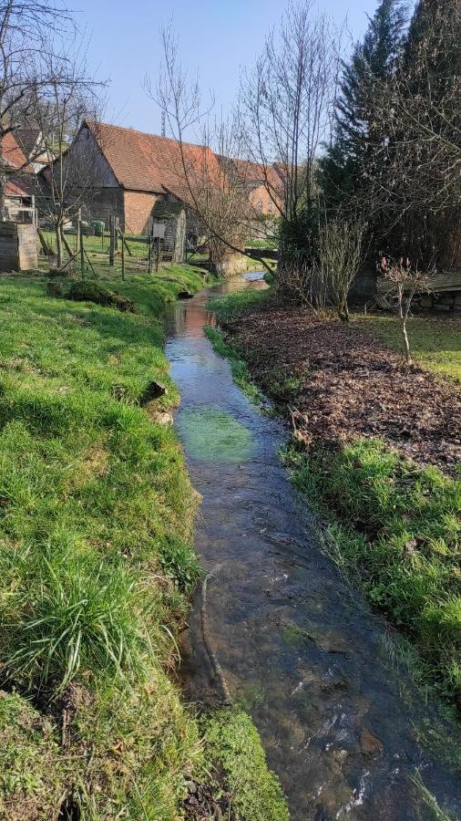 Gite A La Petite Fontaine-Plain Pied-Maison Alsacienne Renovee Avec Passion-4 Pers-4Nuitees Minimum Langensoultzbach エクステリア 写真